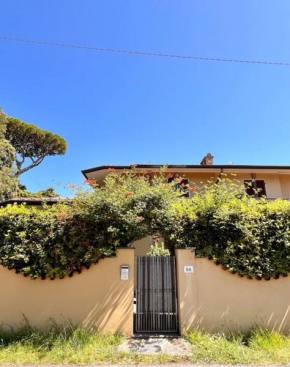 Villetta in Versilia